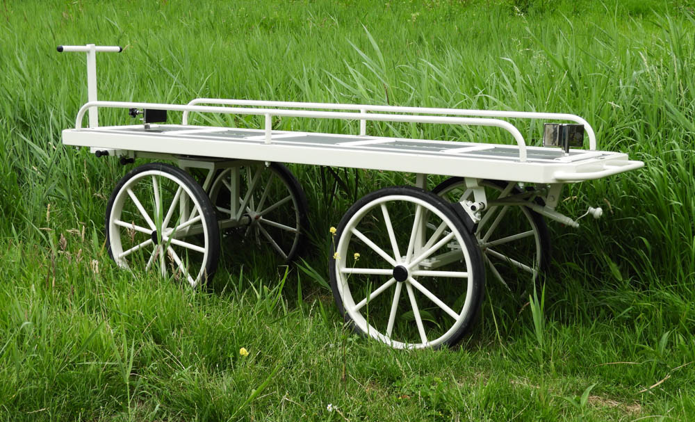 Nog 2 kleine Loopkoetsen beschikbaar tegen oude tarief