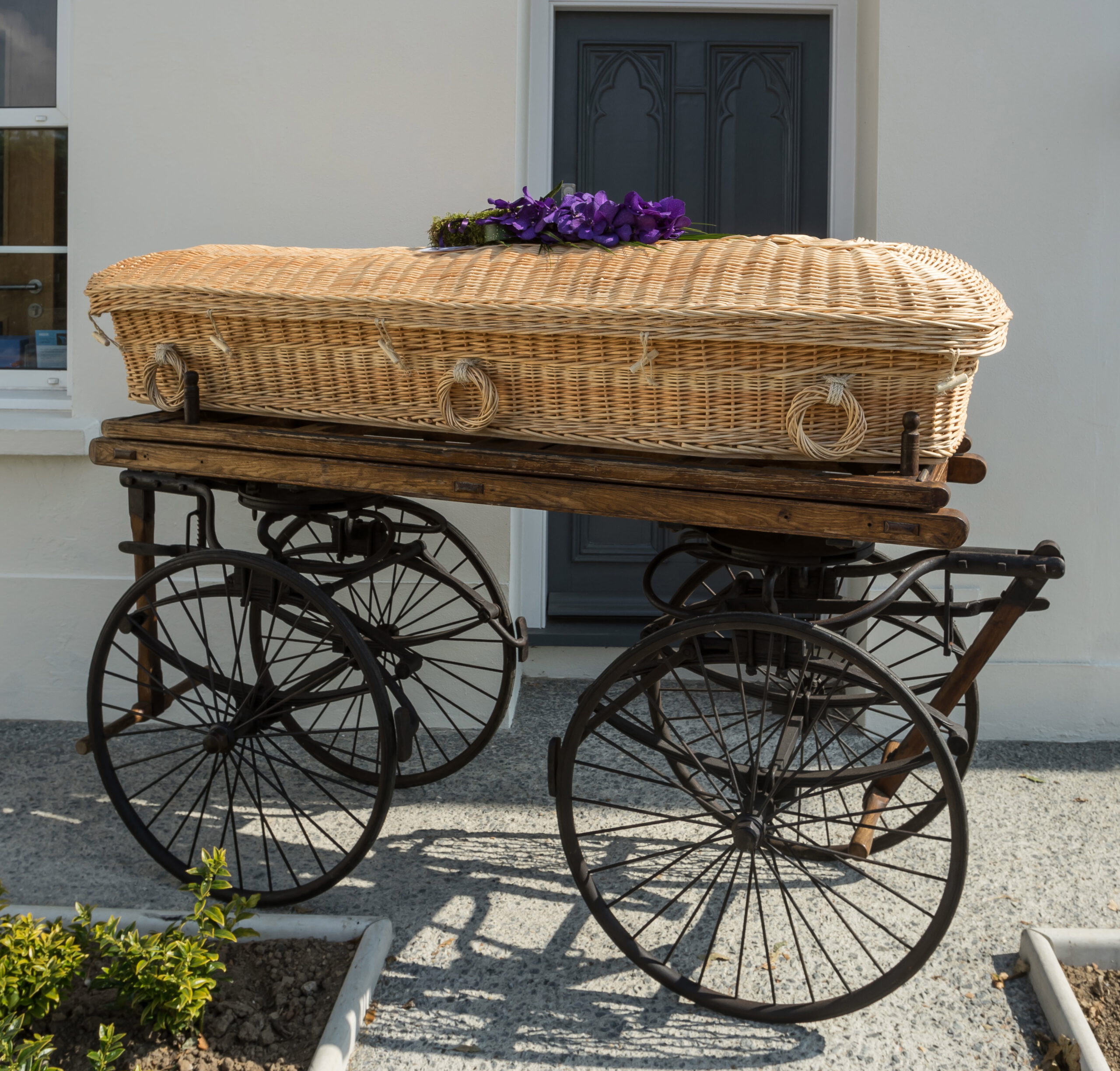 Retro Loopkoets. Beperkte oplage 2022.